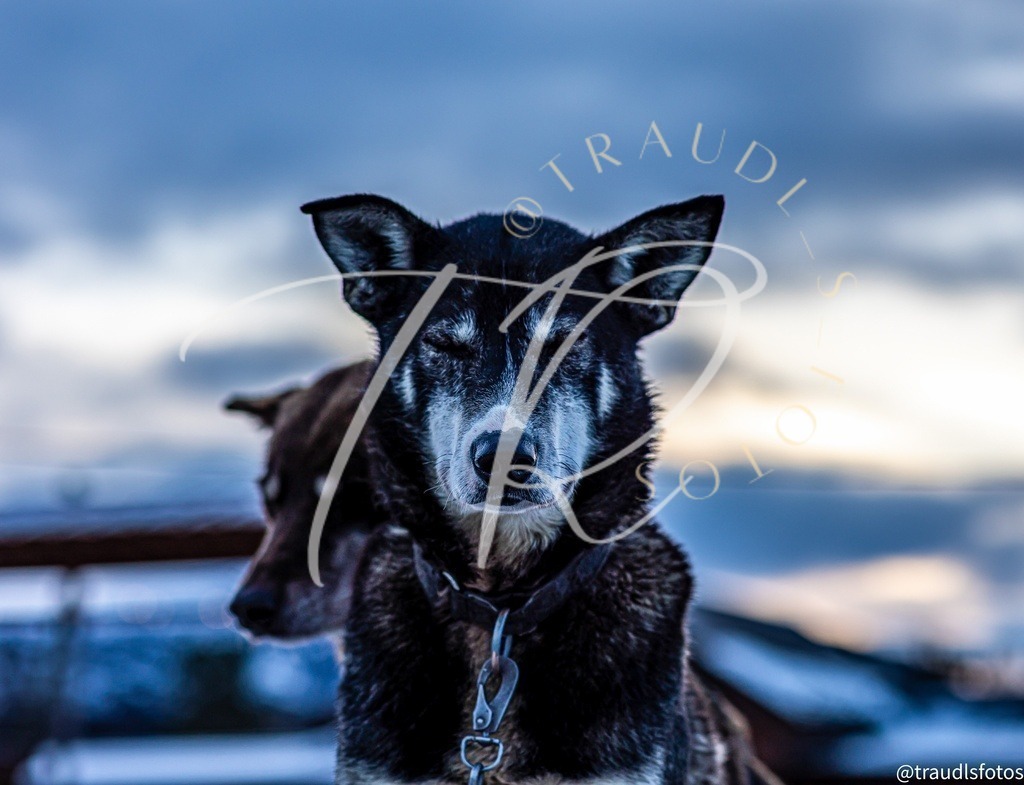 ED996F55-42BD-4667-8159-40E50F85ED62 | traudl_s_fotos