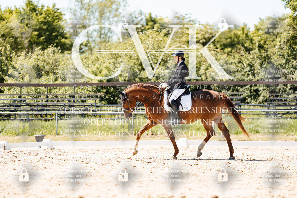 CK905984 | Turnierfotografie Pferdefotografie Trier Rheinland-Pfalz Pferdesport Reitsport Tierfotografie Sportfotografie Pferdevideo Pferdevideografie Equestrianvideography equestrianphotography  - Realisiert mit Pictrs.com