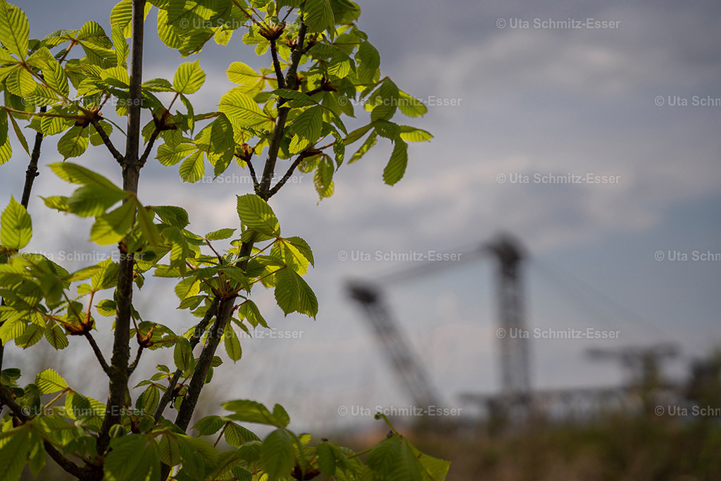 Hambacher-Forst_02 | CEUS Design - Realisiert mit Pictrs.com