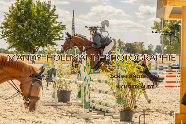 26-7-23 SPR A++-702 | mandyhollmannphotographie
