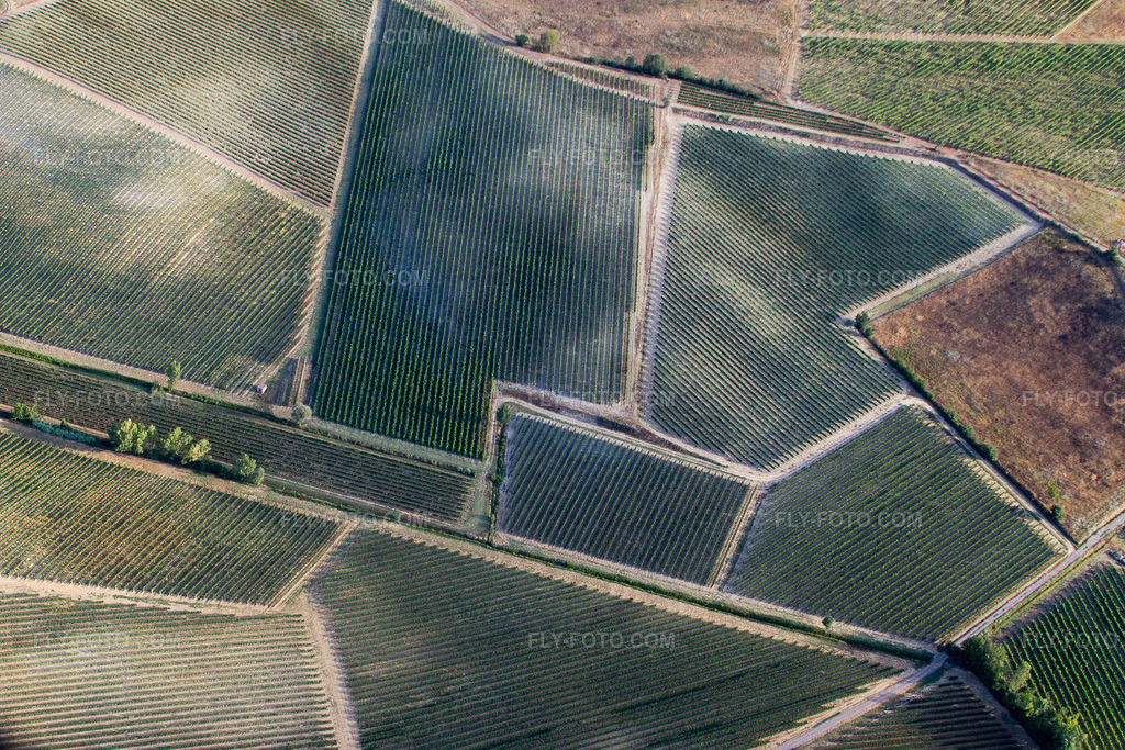 Aerial view: Vineyard landscape of the winegrowing regions in Abbadia in Montepulciano in the state Siena, Italy. – Photo: IMG_43425.jpg taken on 07/25/2011 by Werner Riehm/FLY-FOTO.com – Resolution of the original: 3393 x 2262 px