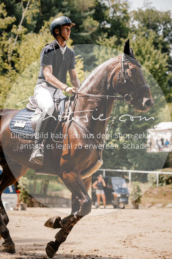 3I6A8105 | Stimmungsvolle Portraits und Reitsportfotografie im Ruhrgebiet und im Münsterland.

Pferdefotografie, Hundefotografie, Tierfotografie, Reportagen, Portraits von Tier und Mensch, Turnierfotografie in Bochum, Recklinghausen, Marl, Haltern am See, Dülmen.. - Realisiert mit Pictrs.com