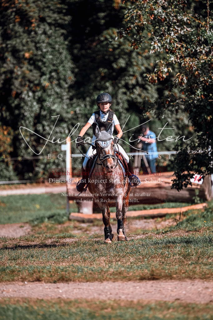 DSC_0715 | Pferde- und Turnierfotografie in Westsachsen. Pferdeportraits, Auftragszeichnungen und intuitive Kunst.
