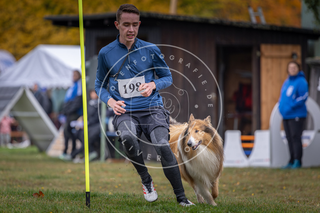 Pfotenfotografie_DV3A0786 | Hundefotografie, Tierfotograf, Pfotenfotografie, Fotoshooting Hund, Hunde Portrait, Hundesport, Hundeportraits, Heideshooting, Hunde, Sportfotograf, Hundefotograf, Turnierhundsport, THS,  - Realisiert mit Pictrs.com
