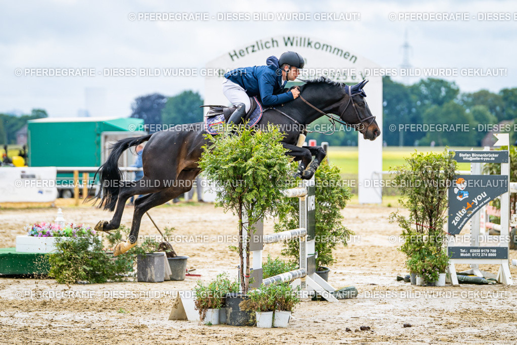 DSC04165 | Pferdegrafie