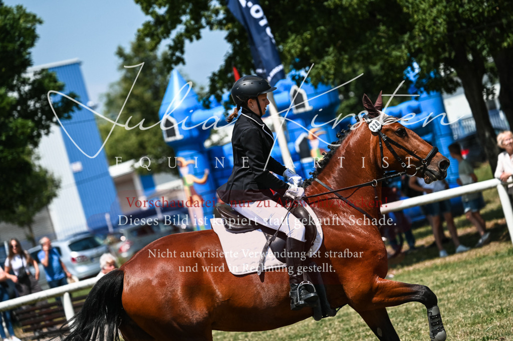 DSC_9894 | Pferde- und Turnierfotografie in Westsachsen. Pferdeportraits, Auftragszeichnungen und intuitive Kunst.