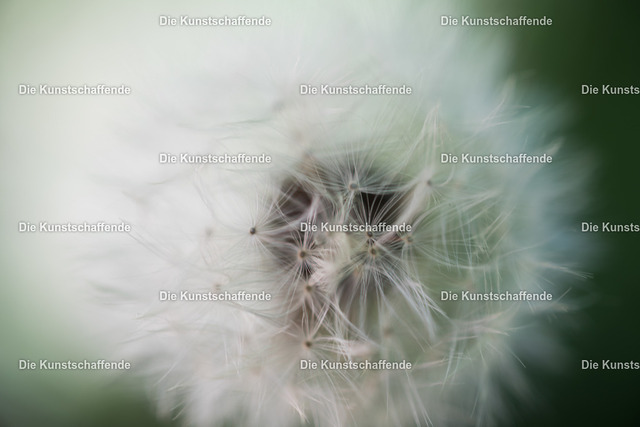 Manuela Strombach-Gauss-0098 | Kunstdruck-Postkarten von, analog und digital, handgemalten Postkarten und Bildern.
Außerdem Fotoprodukte in verschiedenen Ausführungen.
 - Realisiert mit Pictrs.com