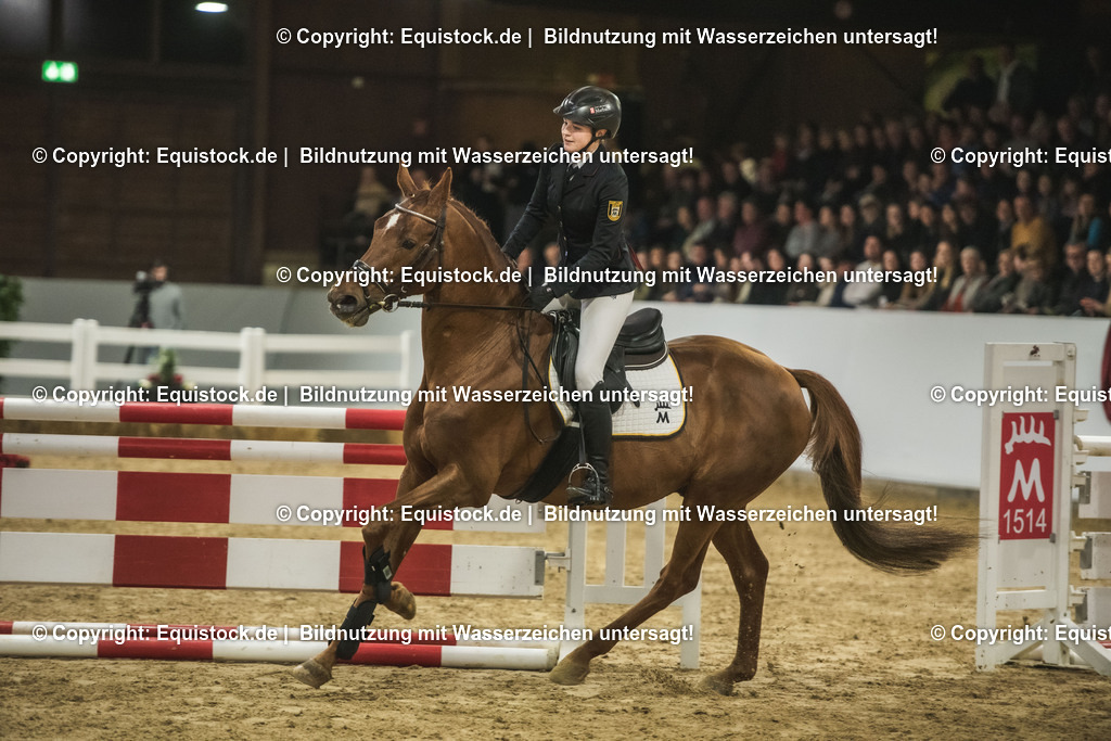 20240302_Hengstvorstellung_Marbach_TOMsPiC_1360 | equistock