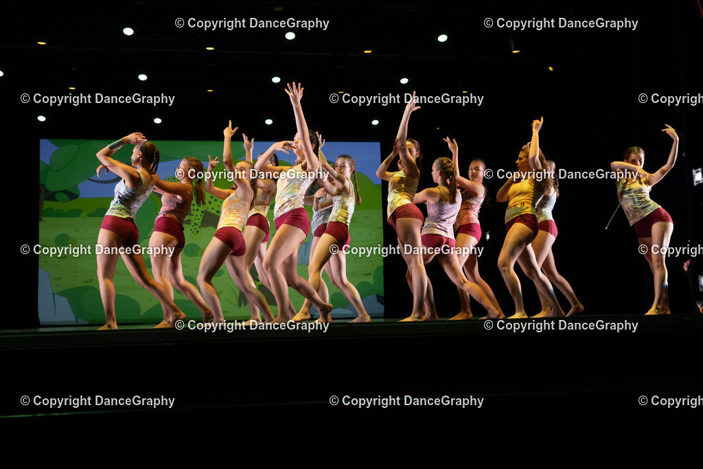 GPHY6356 | DanceGraphy - Realisiert mit Pictrs.com