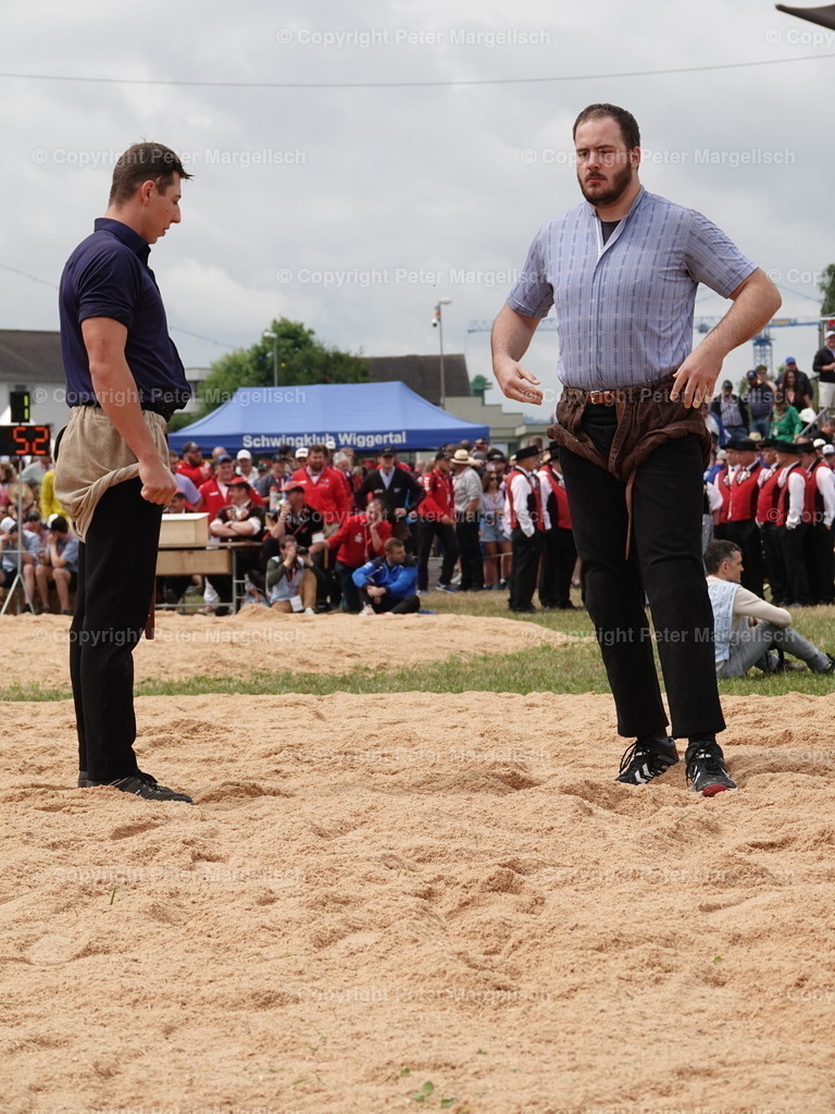 DSC04935 | Schwingen - Realisiert mit Pictrs.com