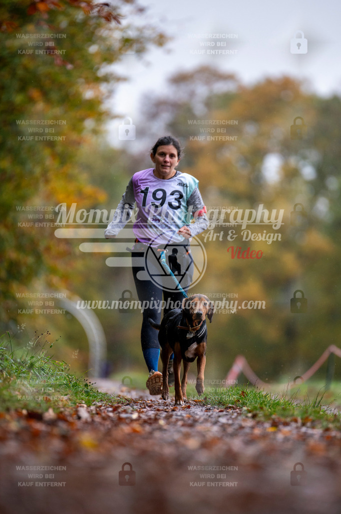 DBT_DAKM_SA_4_11_2023_Canicross-72 | PayLife