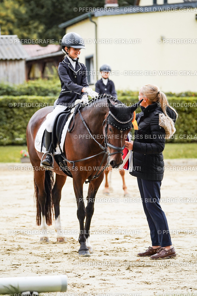 DSC05713 | Pferdegrafie