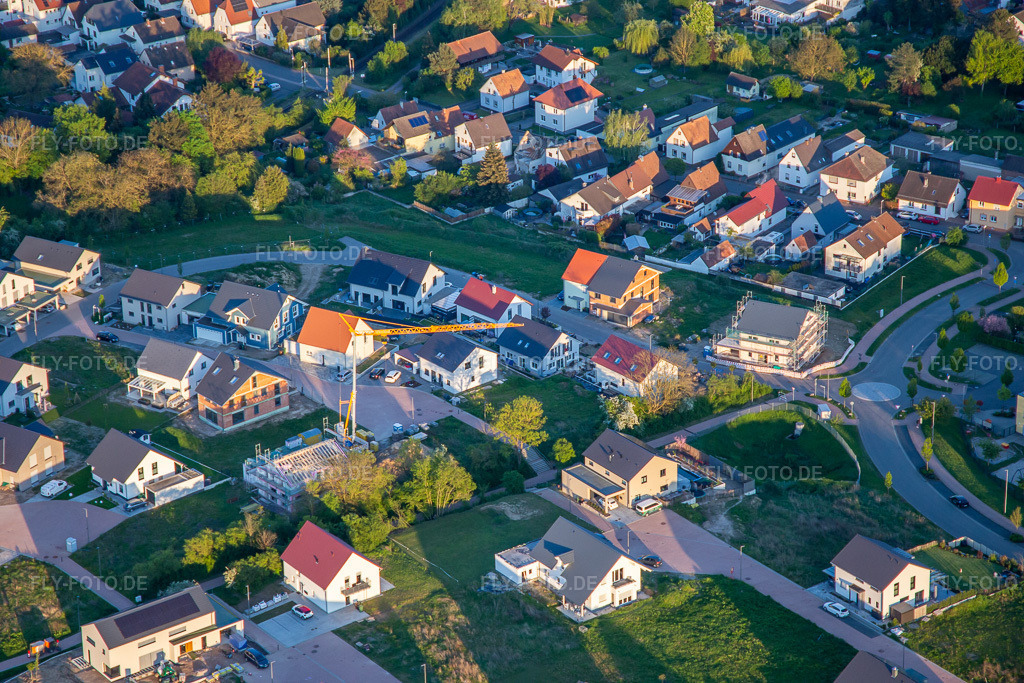 Luftbild: Flieder- und Rosenweg in Kandel im Bundesland Rheinland-Pfalz in Deutschland. Foto: IMG_140364.jpg vom 23.04.2024 durch Werner Riehm/FLY-FOTO.de