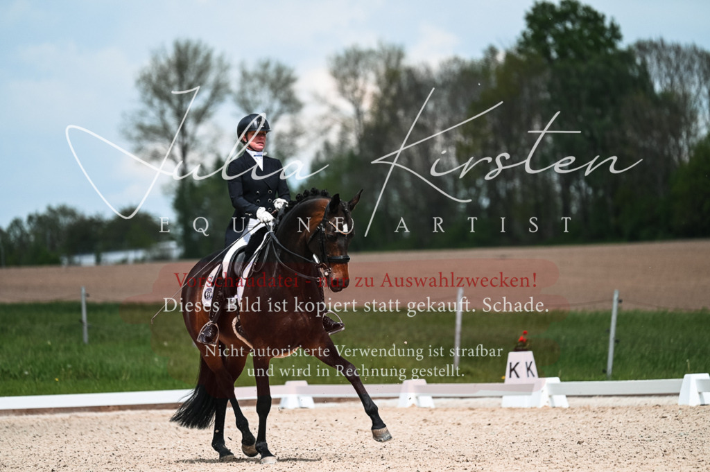 20230514_JK-Röhrsdorf-21-063 | Pferde- und Turnierfotografie in Westsachsen. Pferdeportraits, Auftragszeichnungen und intuitive Kunst.