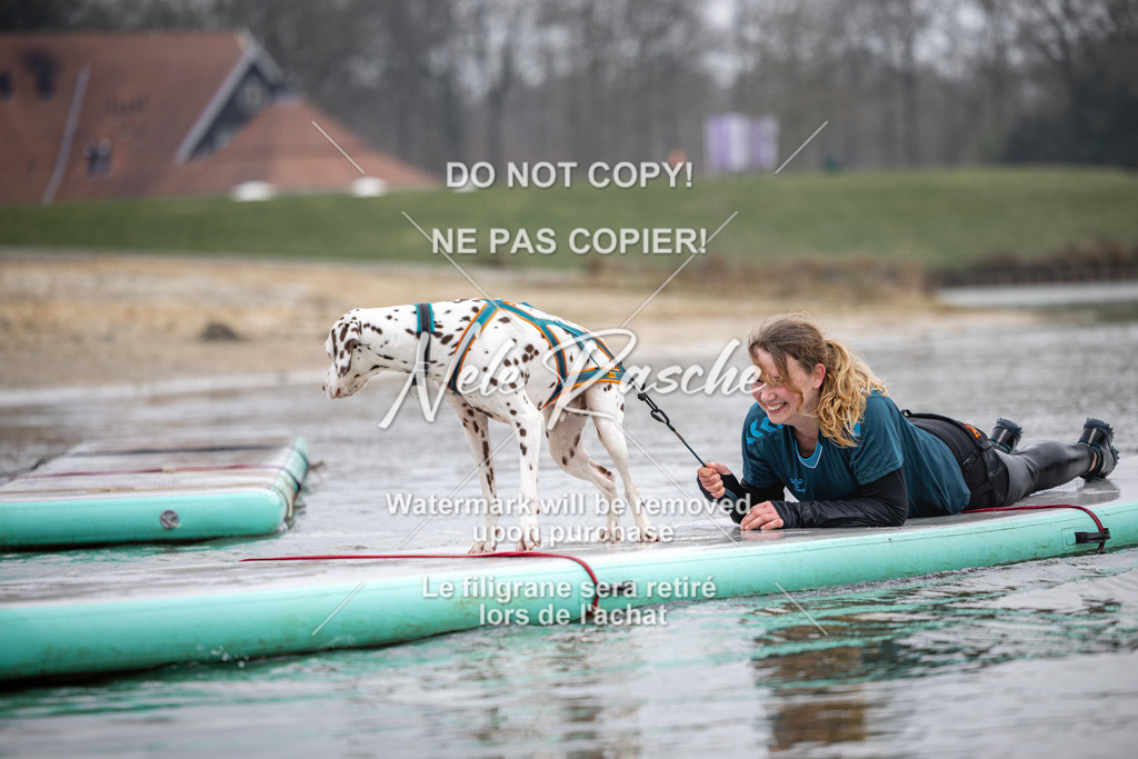 nelerasche_Hulsbeek_Sa1130-1230_285 | nelerasche