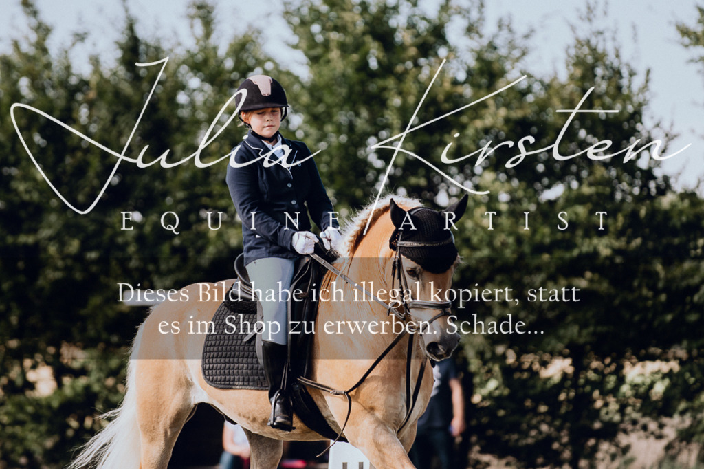 DSC_6977 | Pferde- und Turnierfotografie in Westsachsen. Pferdeportraits, Auftragszeichnungen und intuitive Kunst.