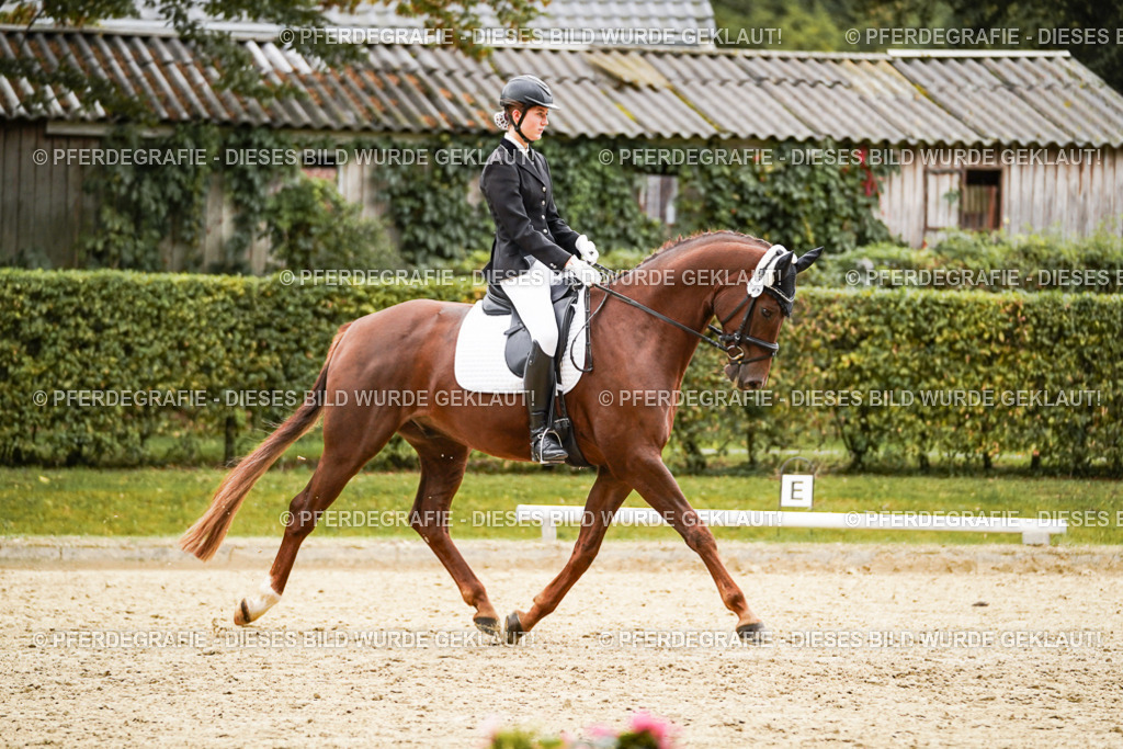 DSC08647 | Pferdegrafie