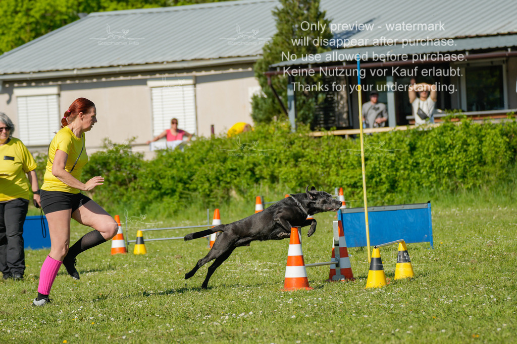 Sa_CSC-242 | stephaniefillaphotographie - Realisiert mit Pictrs.com