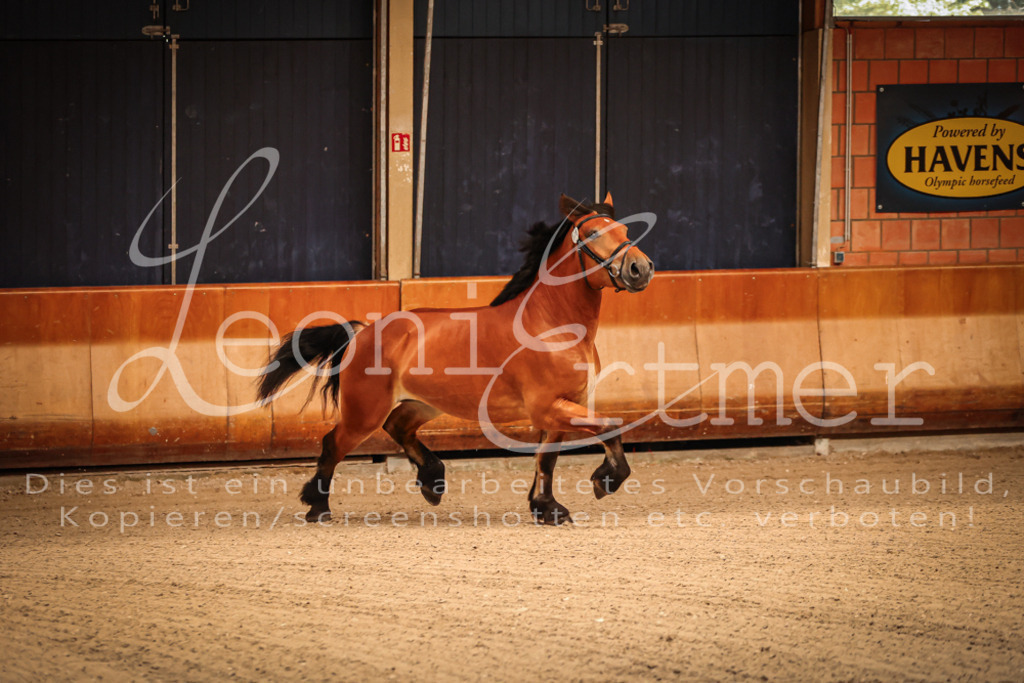 SaFL00009 | Leoni Ertmer Photography - Realisiert mit Pictrs.com