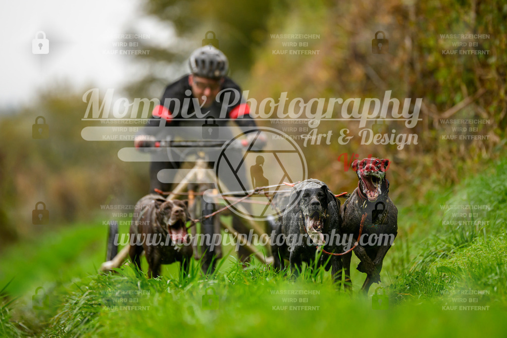 MompixPhotography_20TSB_E8_Kart-8 | PayLife