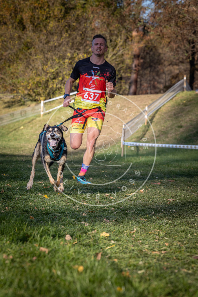 CaniXpix_0L8A8943 | Hundefotografie, Tierfotograf, Pfotenfotografie, Fotoshooting Hund, Hunde Portrait, Hundesport, Hundeportraits, Heideshooting, Hunde, Sportfotograf, Hundefotograf, Turnierhundsport, THS,  - Realisiert mit Pictrs.com