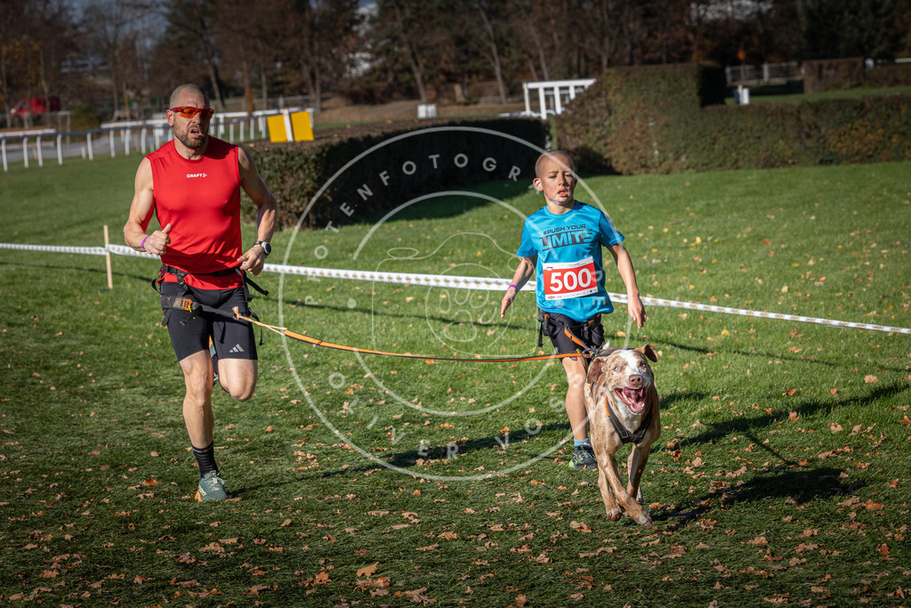 CaniXpix_0L8A6589 | Hundefotografie, Tierfotograf, Pfotenfotografie, Fotoshooting Hund, Hunde Portrait, Hundesport, Hundeportraits, Heideshooting, Hunde, Sportfotograf, Hundefotograf, Turnierhundsport, THS,  - Realisiert mit Pictrs.com