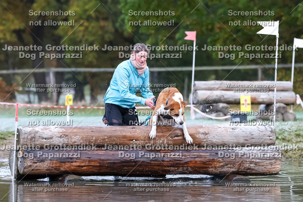 Dog Paparazzi - Strongdog 10-25-6121 | Dog Paparazzi Jeanette Grottendiek Fotografie & Videografie - Realisiert mit Pictrs.com