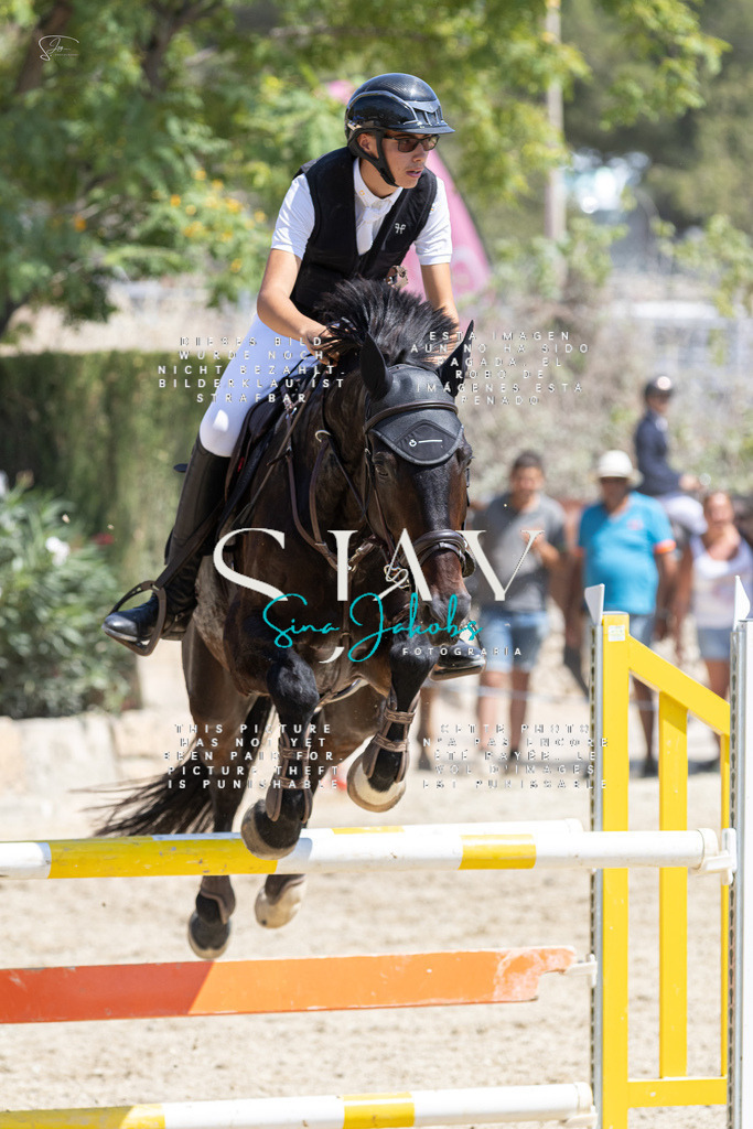 IMG_8113 | s-jay-photography - Realisiert mit Pictrs.com