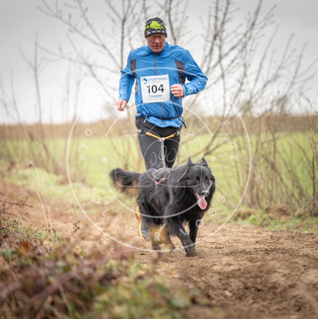 DV3A0187 | Hundefotografie, Tierfotograf, Pfotenfotografie, Fotoshooting Hund, Hunde Portrait, Hundesport, Hundeportraits, Heideshooting, Hunde, Sportfotograf, Hundefotograf, Turnierhundsport, THS,  - Realisiert mit Pictrs.com