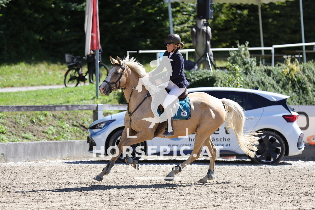 0P6A5701 | Willkommen bei Brunnmayr - Design & Fotografie – Ihrem Spezialisten für Reitturniere und Pferdeveranstaltungen in Oberösterreich, Salzburg und Bayern! Seit über 17 Jahren sind wir leidenschaftlich dabei.