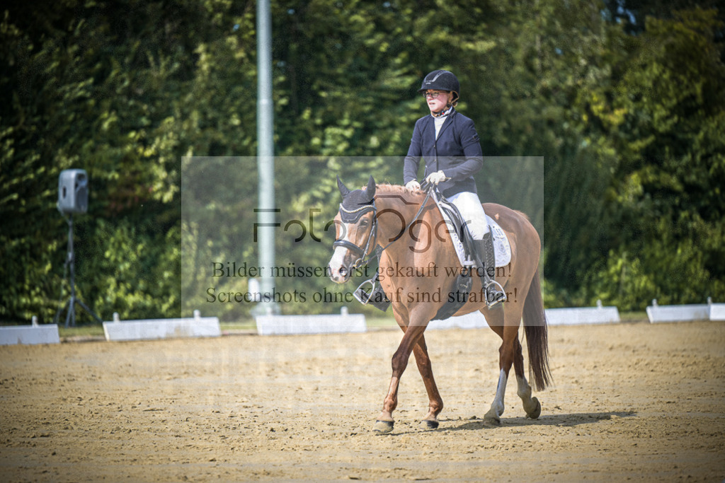 DOS_5632 | Entdecke hochwertige Reitturnierfotos von Foto Oger. Professionell, emotional und authentisch – jetzt Lieblingsmomente im Shop bestellen.Deutschlandweite Turnierfotografie. - Realisiert mit Pictrs.com