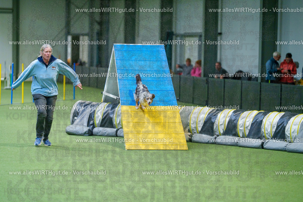 @allesWIRTHgut_Tierfotografie - www.allesWIRTHgut.de - 2604250841-7R507444 | Professionelle Tierfotografie in Mönchengladbach von Daniel Wirth (allesWIRTHgut). Liebevolle & natürliche Bilder von Hunden & Katzen für unvergessliche Erinnerungen.