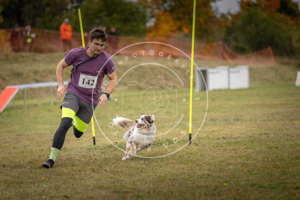 Pfotenfotografie_DV3A8261 | Hundefotografie, Tierfotograf, Pfotenfotografie, Fotoshooting Hund, Hunde Portrait, Hundesport, Hundeportraits, Heideshooting, Hunde, Sportfotograf, Hundefotograf, Turnierhundsport, THS,  - Realisiert mit Pictrs.com