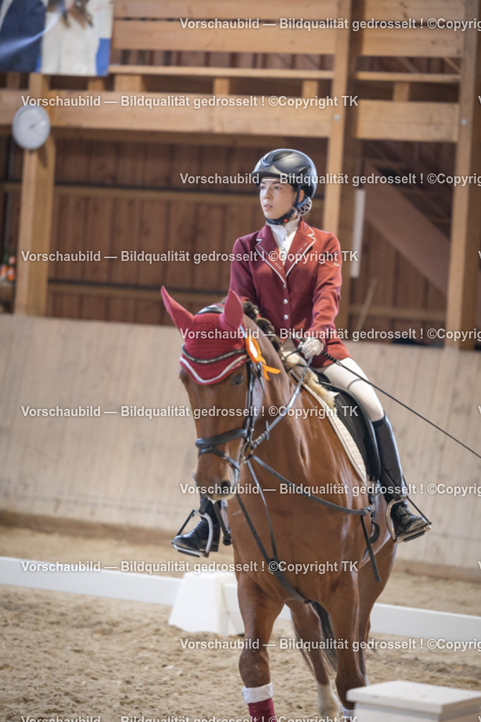 _D5A5716 | Emotionale Pferde- & People-Fotografie rund um Heidelberg, Leimen & Umgebung. Natürliche Fotos von Pferd, Mensch & Familie. Jetzt Termin sichern!