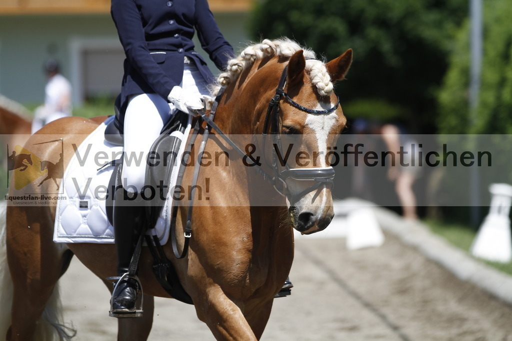 _MG_3911 | equestrian-live-com