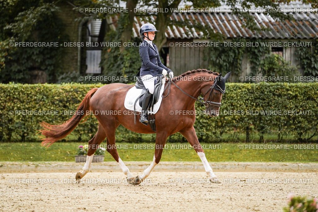 DSC06879 | Pferdegrafie