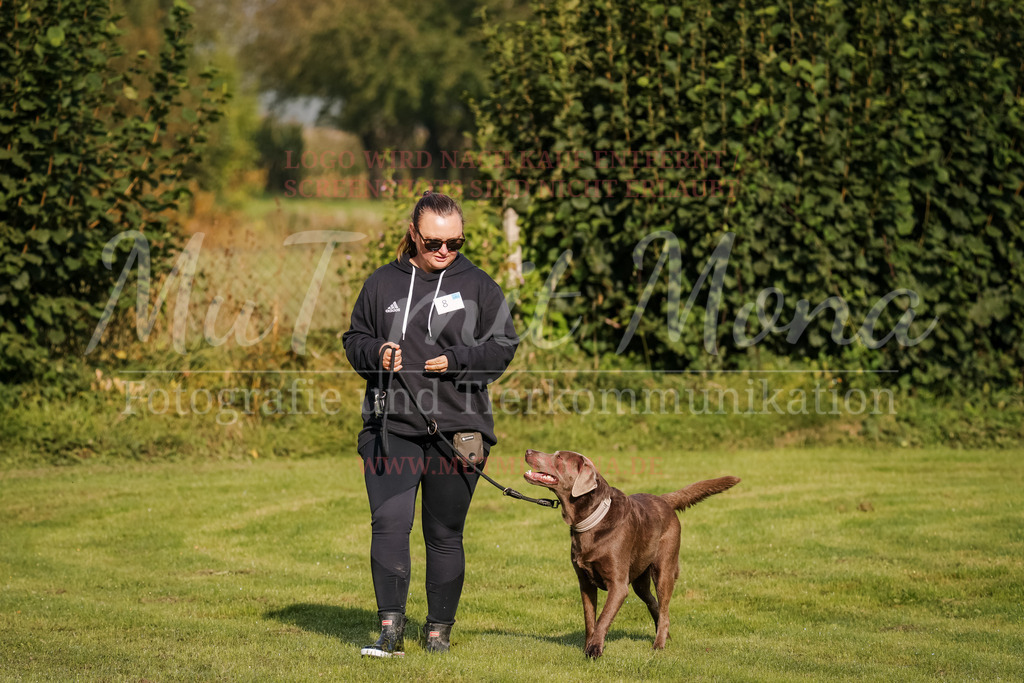 20250928_Hunderennen-2 | MuT (Mensch und Tier) mit Mona - Fotografie und Tierkommunikation - Realisiert mit Pictrs.com