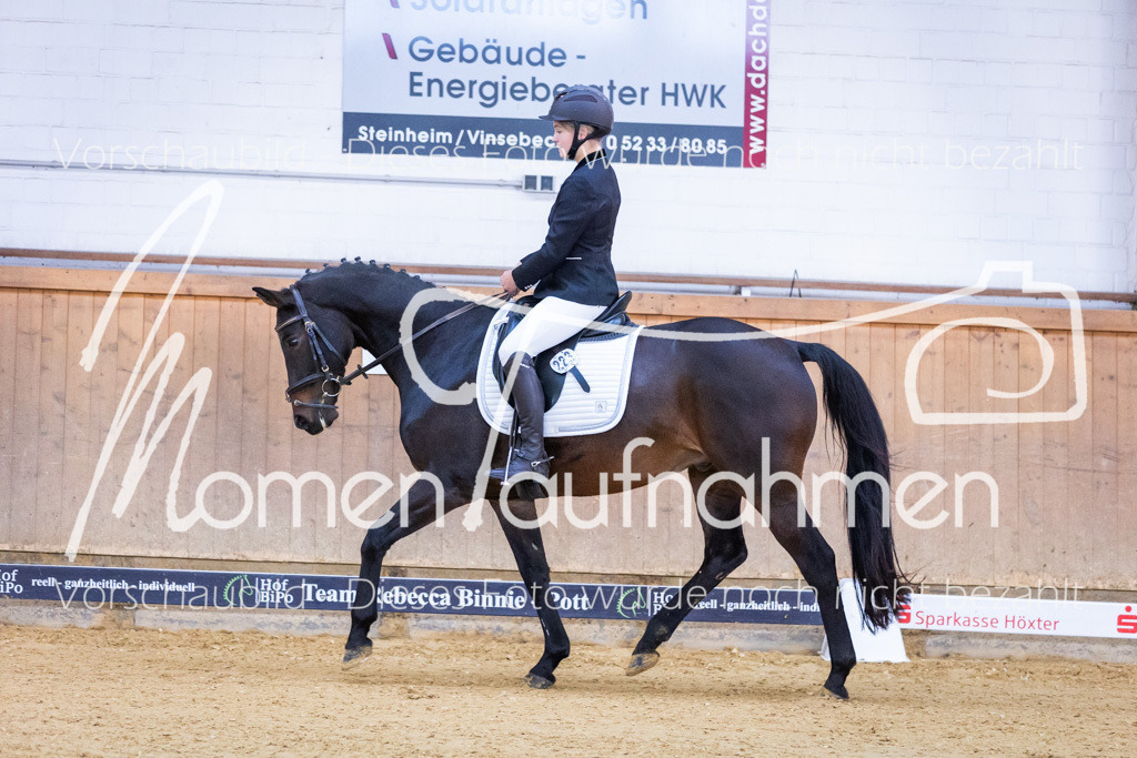 Sth-A-Dre-1St-008 | MomenTaufnahmen Pferdesportfotos