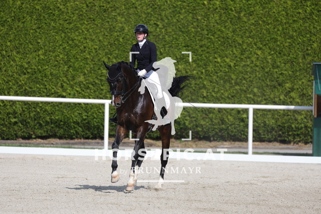 0P6A6730 | Willkommen bei Brunnmayr - Design & Fotografie – Ihrem Spezialisten für Reitturniere und Pferdeveranstaltungen in Oberösterreich, Salzburg und Bayern! Seit über 17 Jahren sind wir leidenschaftlich dabei.