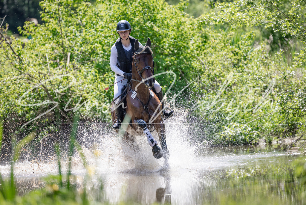 20260523-_3LI8152 | Tierfotografie Pferde, Hunde, Katzen, Haustiere.
Turnierfotografie Reitturniere, Reiten, Springreiten, Dressur in Hanau, dem Main-Kinzig-Kreis und dem Rhein-Main- Gebiet um Frankfurt