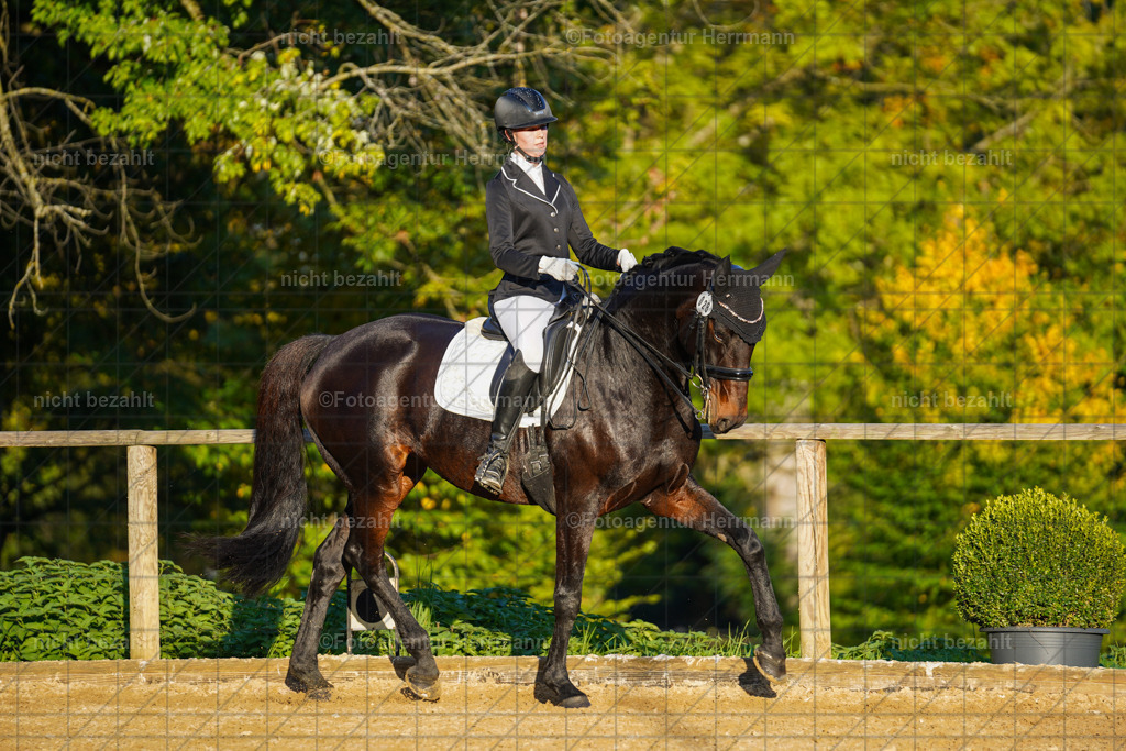 20221007-FAH00434 | Diessen am Ammersee, 2022, Dressur- und Springturnier, Reitsportbilder, Turnierfotografen Bayern, Pferdefotografen, Fotoagentur Herrmann, Turnierbilder