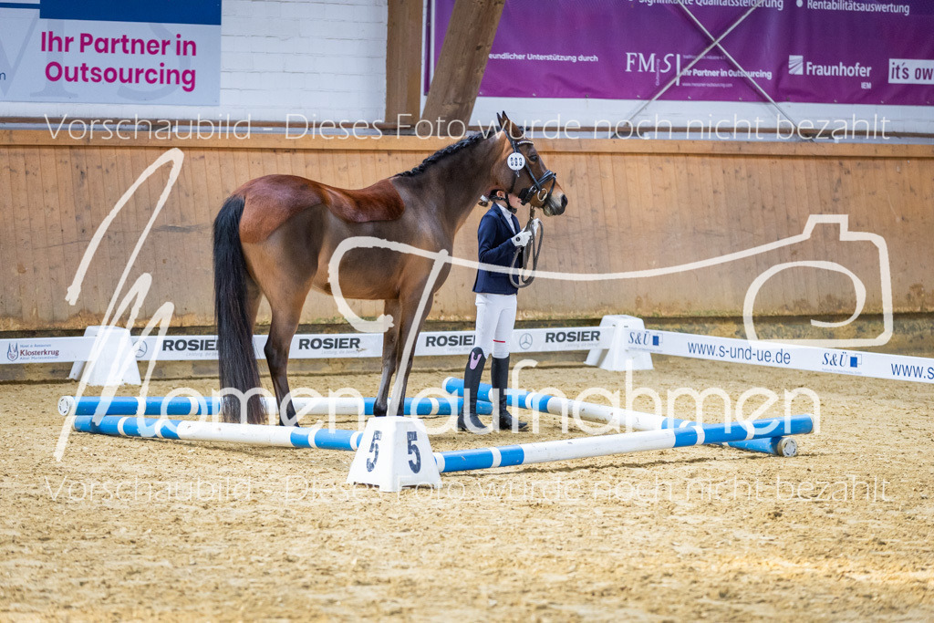 Sth-WBO25-Führ-WB-060 | MomenTaufnahmen Pferdesportfotos