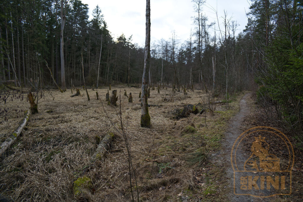 P1340043-1 | Foto, Natur, Tiere, Urlaub, Georgien,  - Realisiert mit Pictrs.com