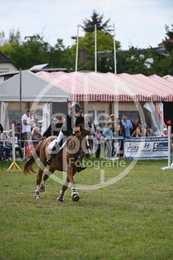 DSC_3164 | sattelsport - Realisiert mit Pictrs.com