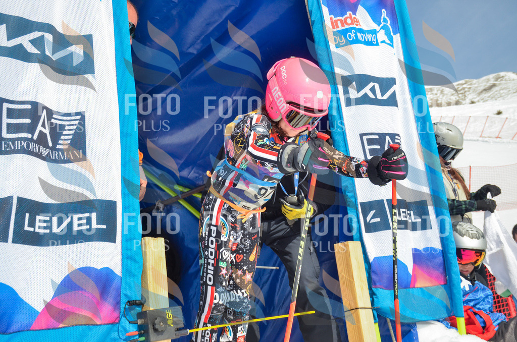 _ELE5743 | holidayphoto