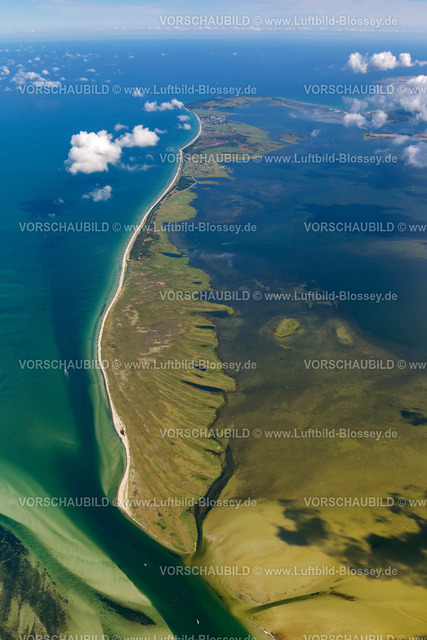 Hiddensee12082779 | Süden der Insel Hiddensee, Naturschutzgebiete Gellen und Gänsewerder, Naturschutzgebiet Dünenheide, Heidelandschaft, Hiddensee, Ostseeinsel, Mecklenburg-Vorpommern, Deutschland, Europa