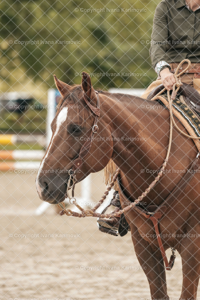 DSC00608 | ikphotography - Realisiert mit Pictrs.com