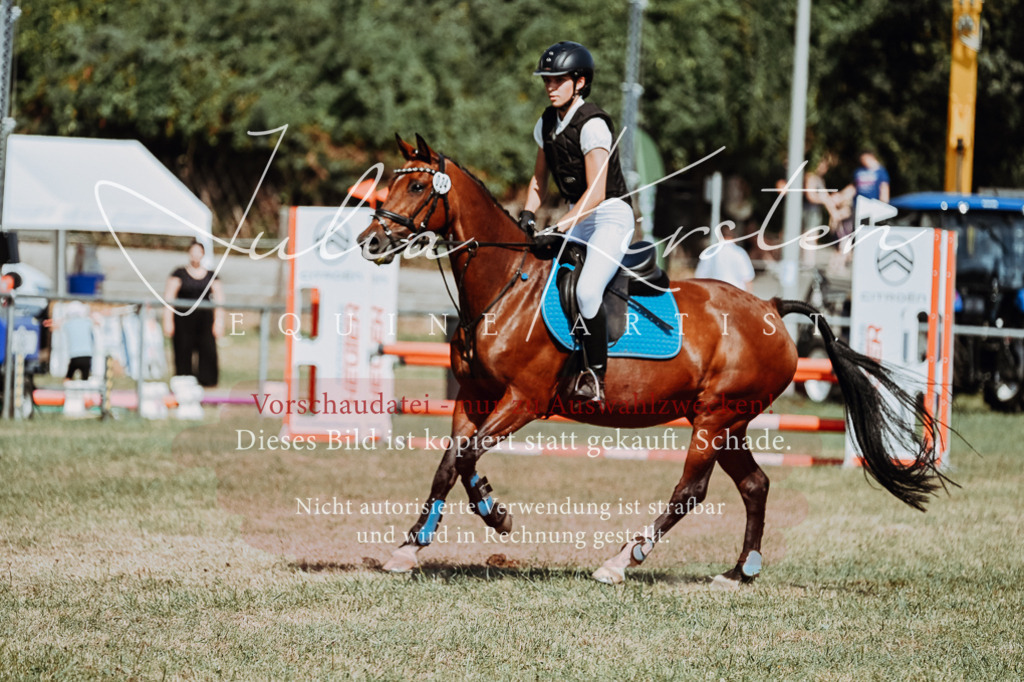 DSC_9962 | Pferde- und Turnierfotografie in Westsachsen. Pferdeportraits, Auftragszeichnungen und intuitive Kunst.