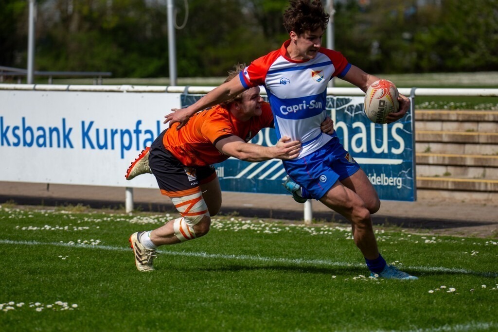 Rugby 1. Bundesliga Süd/West, Saison 2024/25, 10. Spieltag: RG Heidelberg gegen Heidelberger Ruderklub 1872***Versuch für den HRK | Rugby 1. Bundesliga Süd/West, Saison 2024/25, 10. Spieltag: RG Heidelberg gegen Heidelberger Ruderklub 1872***Versuch für den HRK - Realisiert mit Pictrs.com