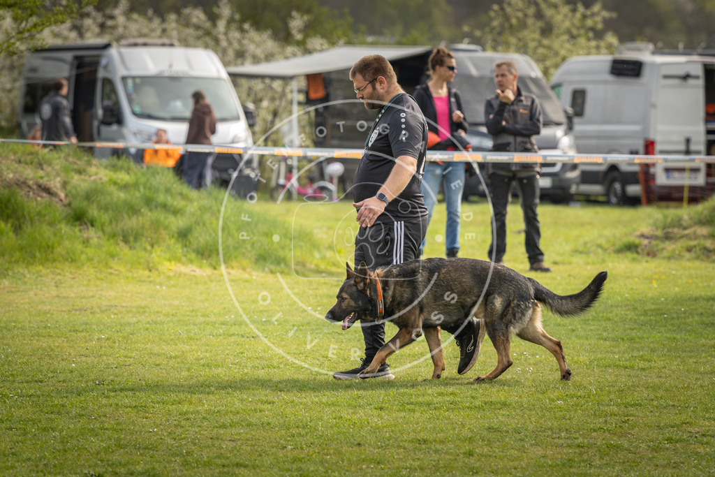Pfotenfotografie_DV3A5019 | Hundefotografie, Tierfotograf, Pfotenfotografie, Fotoshooting Hund, Hunde Portrait, Hundesport, Hundeportraits, Heideshooting, Hunde, Sportfotograf, Hundefotograf, Turnierhundsport, THS,  - Realisiert mit Pictrs.com